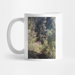 Monarchs of Mexico VI Mug